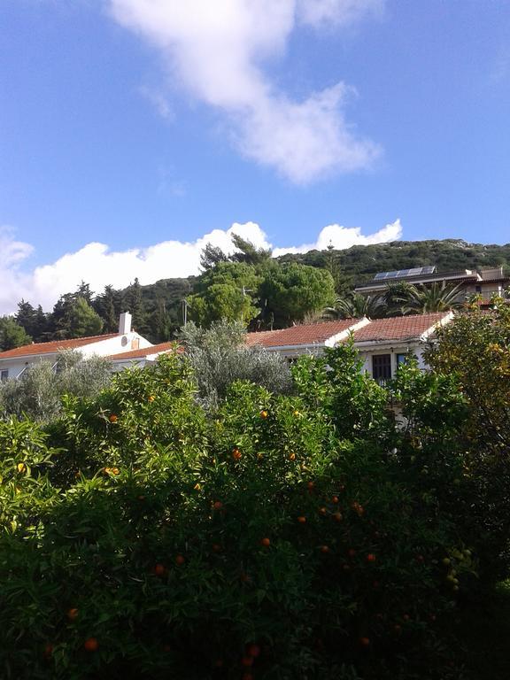 Aggelos Kefalonia Lassi Lassi  Exterior photo